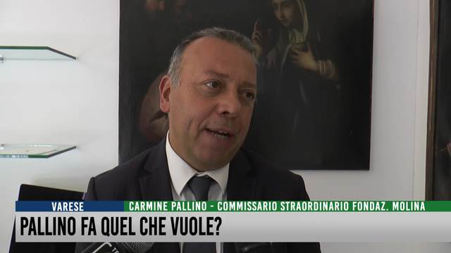 Pallino fa quello che vuole?