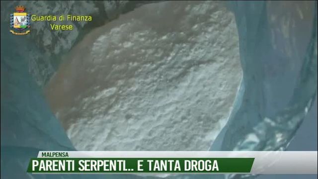 Parenti serpenti...e tanta droga