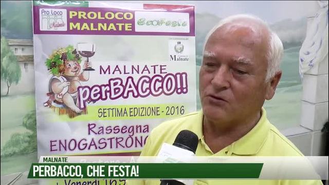 Perbacco, che festa!