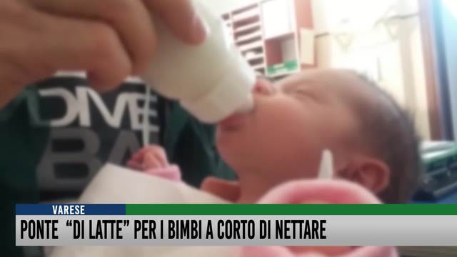 Ponte "di latte" per bimbi a corto di nettare