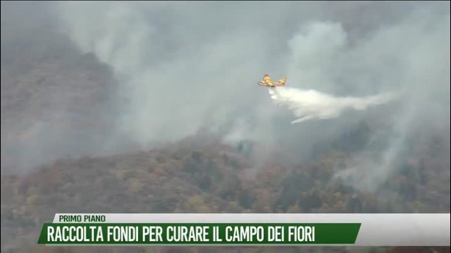 Raccolta fondi per curare il Campo dei Fiori