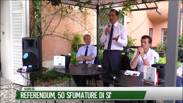 Referendum, 50 sfumature di SI'