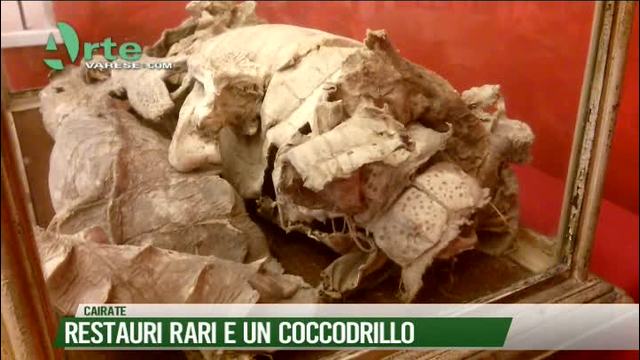 Restauri Rari a Cairate