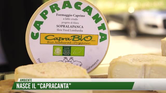 Rubrica ambiente 0012