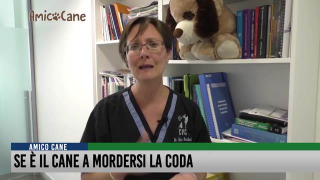 Se è il cane a mordersi la coda