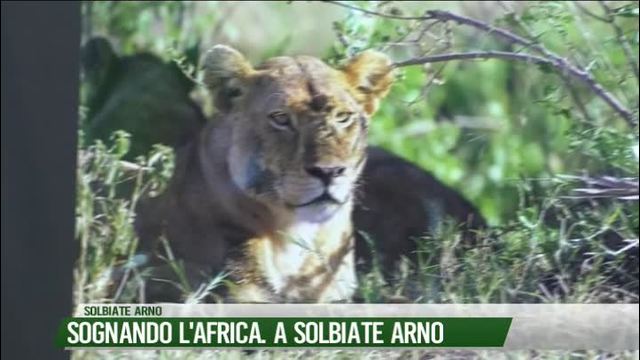 Sognando l'Africa. A Solbiate Arno