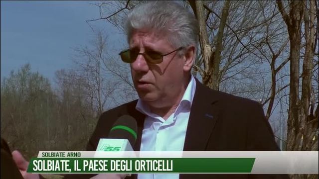 Solbiate,
il paese degli orticelli