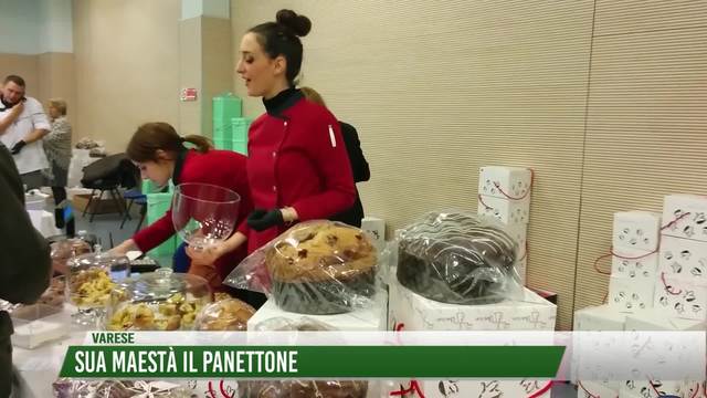Sua maestà il panettone