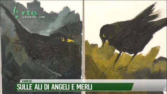 Sulle ali di angeli e merli