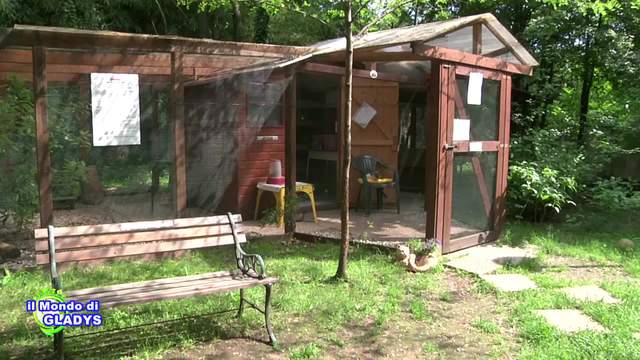 Tante realtà interessanti oggi con Gladys...