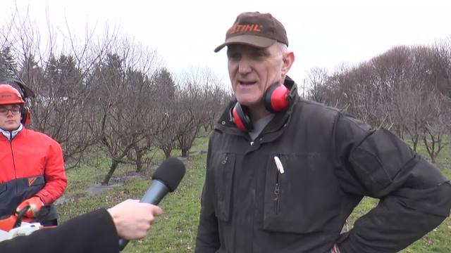 Tenuta Superiore della Fondazione Miniprio: interventi di potatura