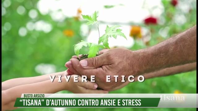 "Tisana" d'autunno contro ansie e stress