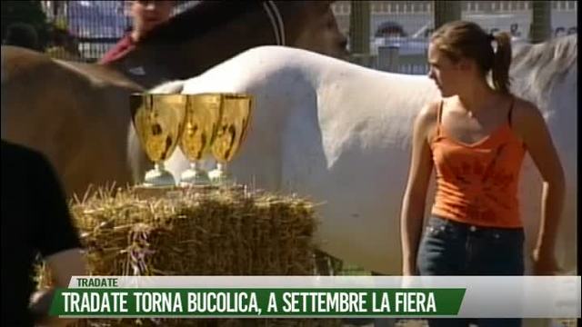 Tradate torna bucolica. A Settembre la Fiera
