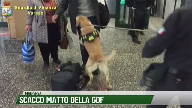 Traffico di droga: scacco matto della GdF