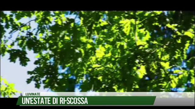 Un'estate di ri-scossa