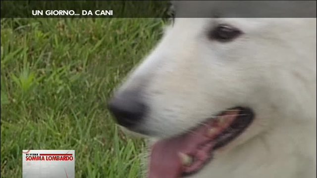 Un fine settimana di festa