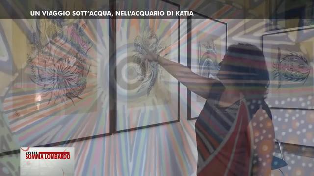 Un viaggio sott'acqua. Nella'acquario di Katia