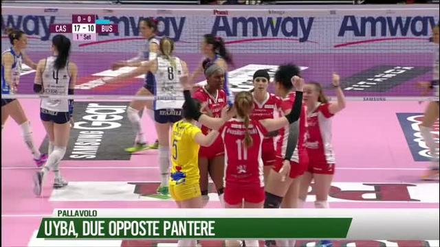 UYBA, due opposte pantere