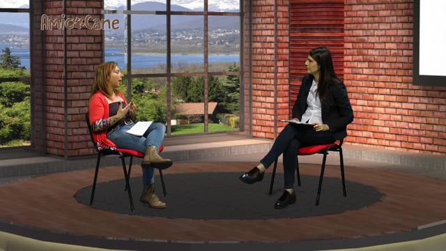 ...va al ristorante!