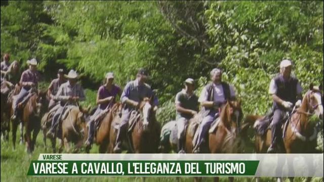 Varese a cavallo, l'eleganza del turismo