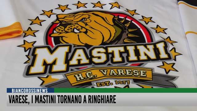 Varese, i Mastini tornano a ringhiare