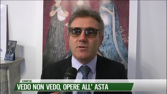 Vedo non vedo,
opere all'asta
