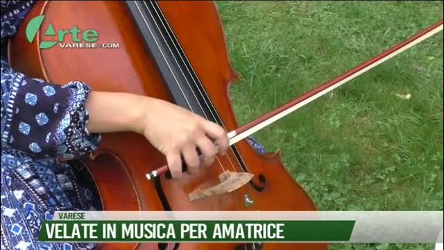 Velate in musica per Amatrice