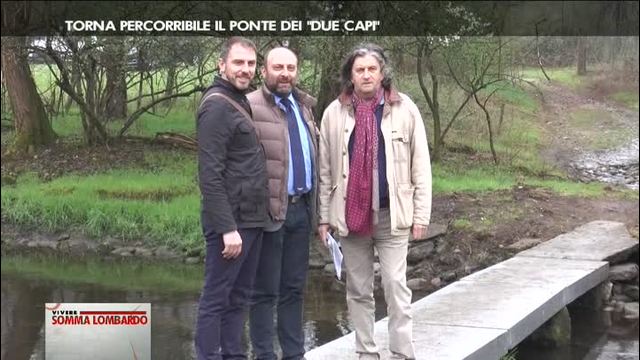 Vivere somma lombardo