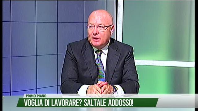 Voglia di lavorare? Saltale addosso!