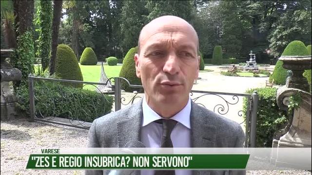 "ZES e Regio Insubria? Non servono"